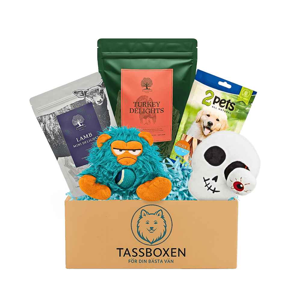 Tassboxen - Månadens höjdpunkt för din hund