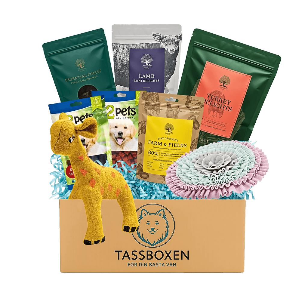 Tassboxen - Skräddarsydd box för din bästa vän