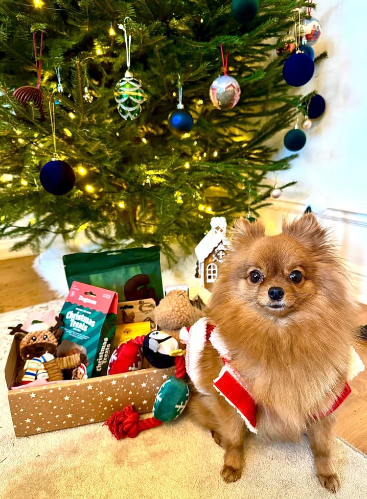 Tassboxen - Månadsbox för hundar